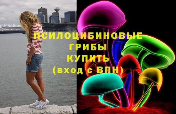 дурь Корсаков