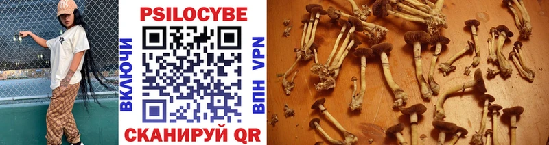 Псилоцибиновые грибы Psilocybine cubensis  Углич 