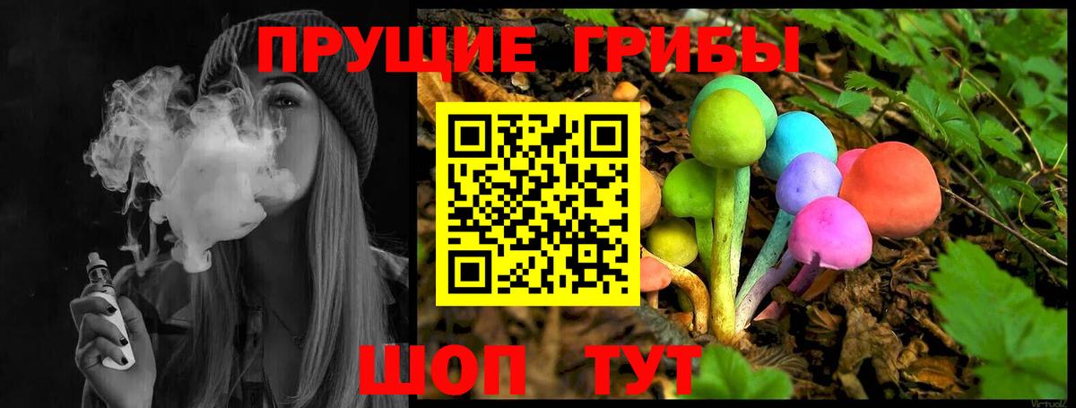 Псилоцибиновые грибы Psilocybine cubensis  Вход с VPN  Углич 